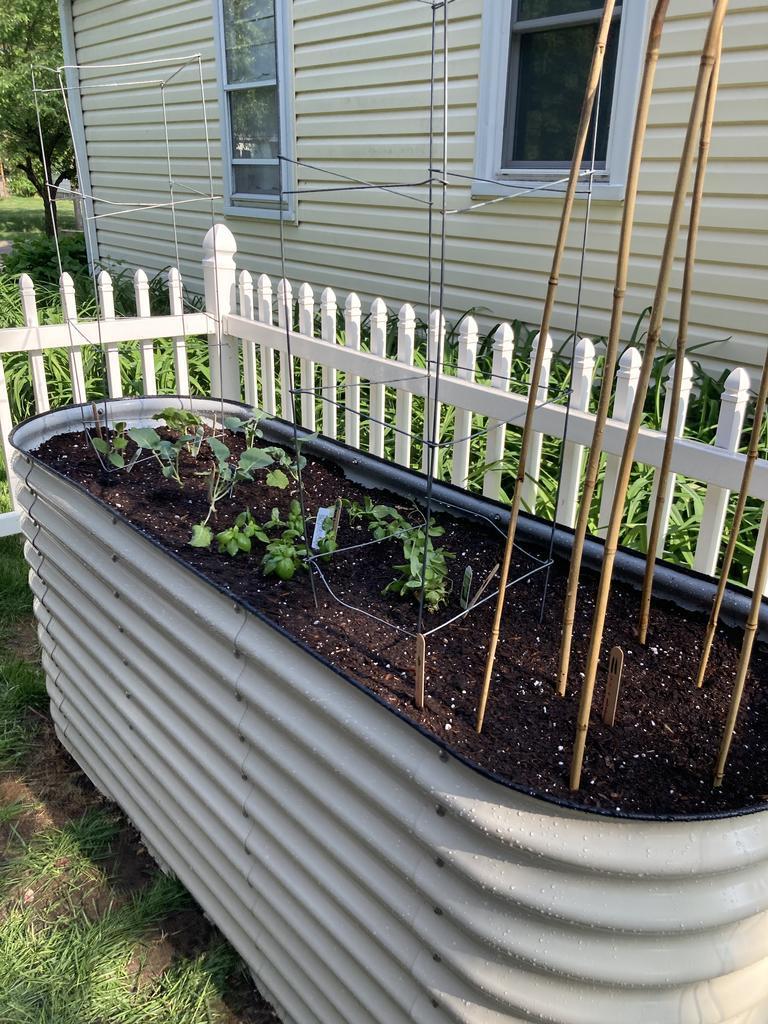 Why Should You Consider Using Galvanized Metal For Your Raised Garden Bed?