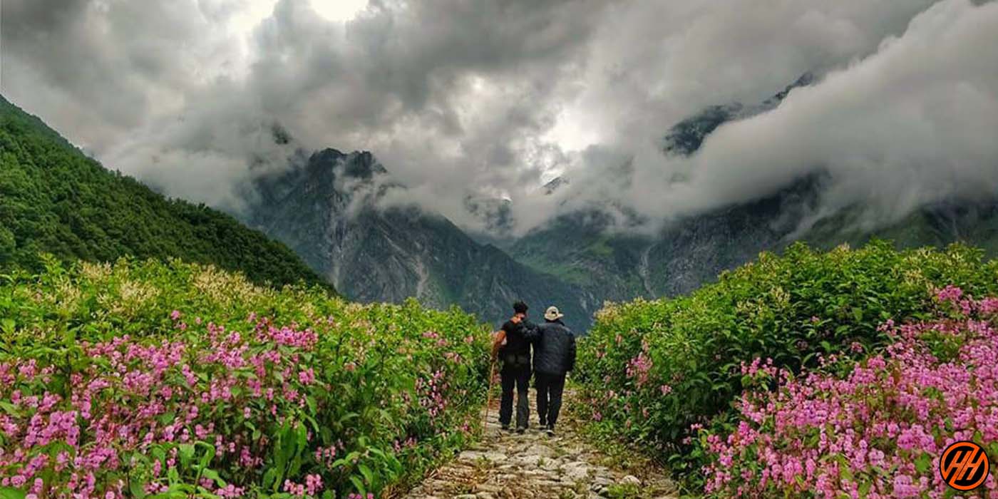 Valley of Flowers Trek: Best Monsoon Trek in India￼